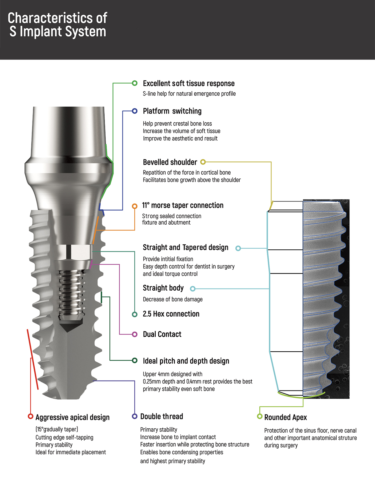 s-system Image
